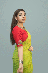 Red Blouse - Lady Beside Window